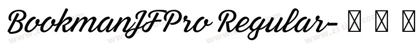 BookmanJFPro Regular字体转换